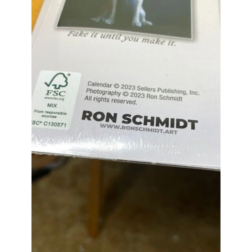 Dogma 2024 Wall Calendar: A Dog’s Guide to Life by Ron Schmidt, 12